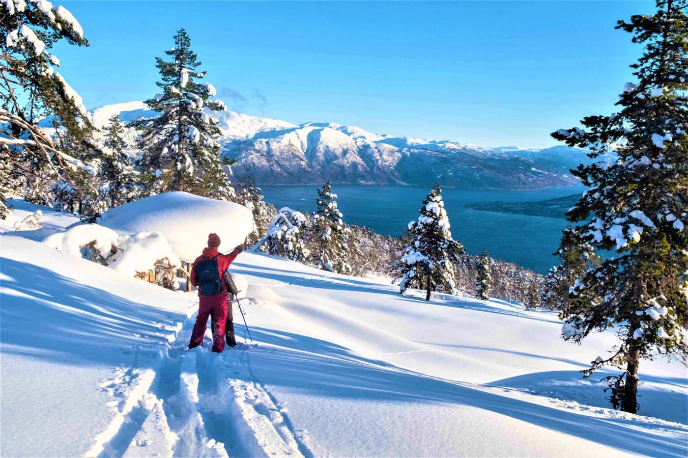 "A person wearing a red jacket and backpack hiking in deep snow, pointing out at a stunning view of a blue fjord and snow-capped mountains in Balestrand, Norway. The sky is clear blue and the scene is full of snow-covered pine trees. It's a beautiful, sunny winter day."