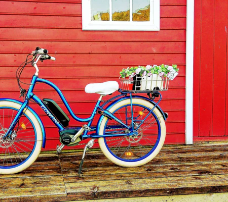 Electra Townie e-bike ready for rental in Balestrand with fjord and mountain views