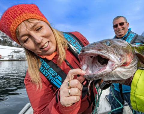 nyskerrig dame, skejjer munnen på fisk ig jakke i fine farger matauk i sognefjorden, brosme i fjærlandsfjorden