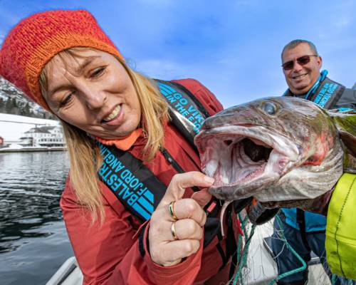 nyskerrig dame, skejjer munnen på fisk ig jakke i fine farger matauk i sognefjorden, brosme i fjærlandsfjorden